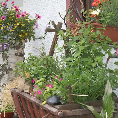 מלון Und Restaurant Burg 3*