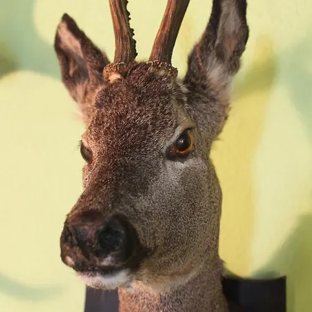 Und Restaurant Burg Ehrenfriedersdorf