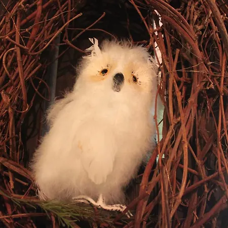 Und Restaurant Burg ホテル 3*