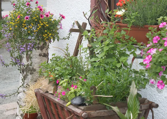 Отель Und Restaurant Burg 3*