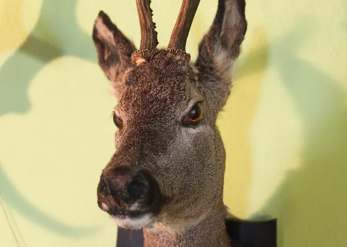 Und Restaurant Burg Ehrenfriedersdorf