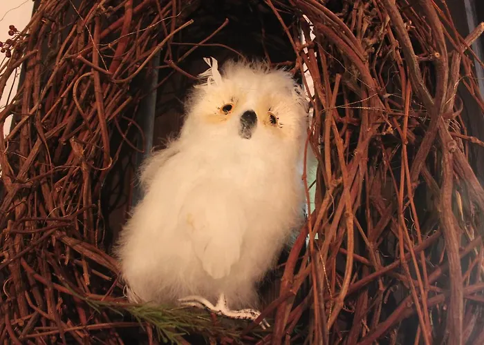 Und Restaurant Burg Отель 3*